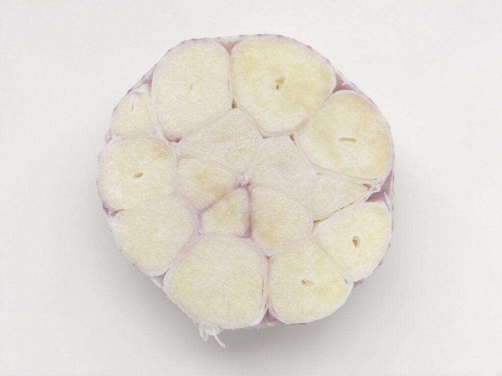 foodism360 397376 unsplash.jpg