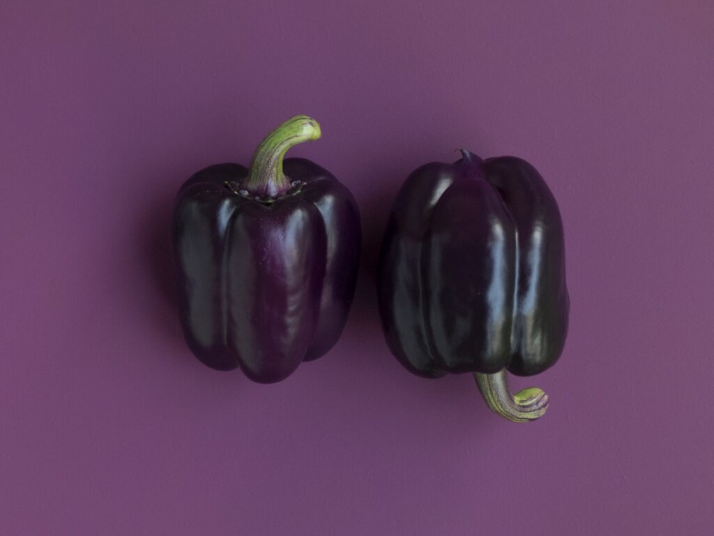 foodism360 397390 unsplash.jpg