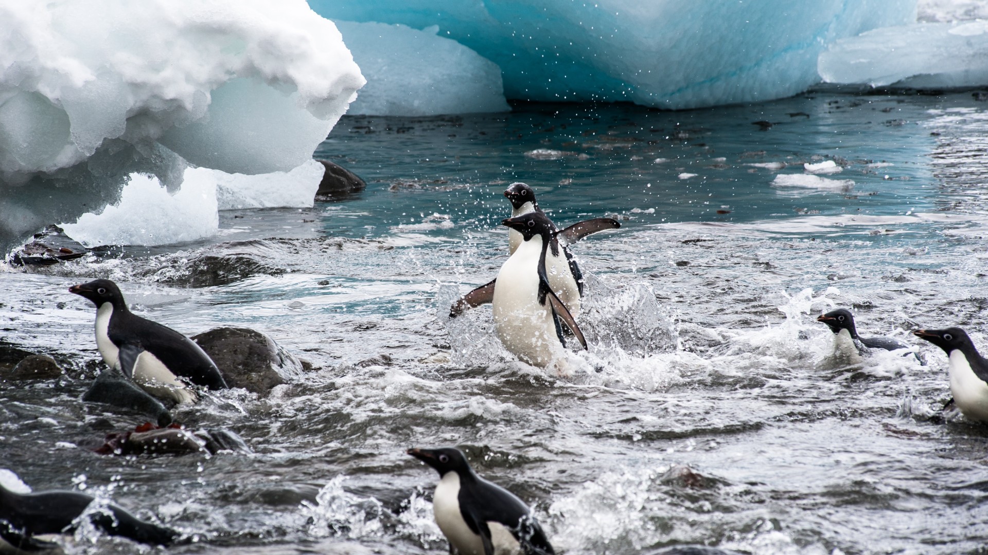 jason row gslrihmivfo unsplash 1.jpg