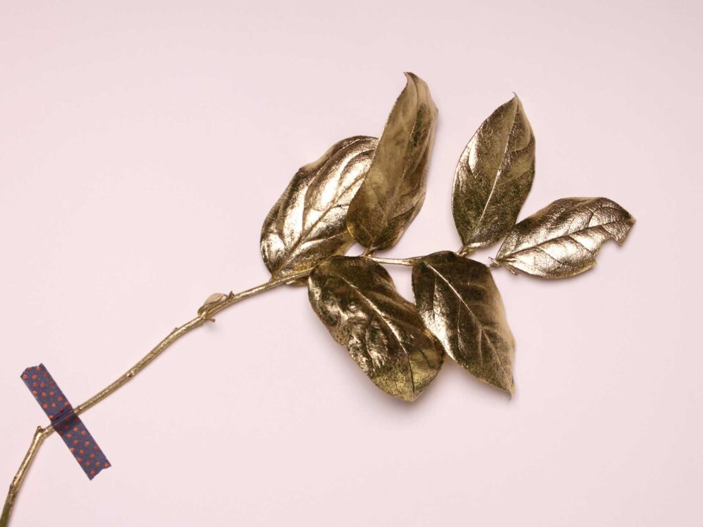 keila hotzel 478680 unsplash.jpg